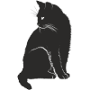 chat