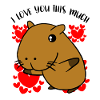 Capybara Jeg elsker dig denne meget Valentinsdag gave