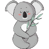 koala