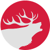 Roaring deer design