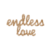 endless love