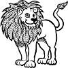 lion