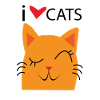 I love cats