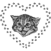 Suesses Katzengesicht mit Herz
