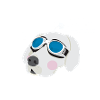 Cooler Hund mit Sonnenbrille