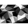 Polygon Black and White