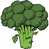 broccoli