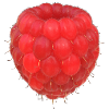 Raspberry Cluster Pattern