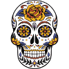 Mexican skull