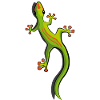 Gecko