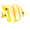 Fisch