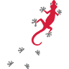 Gecko
