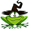 witches frog