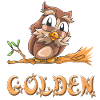 Eule Golden