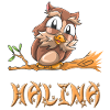 Chouette Halina