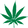 gras_1c