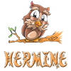 Owl Hermione