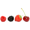 Delicious berries