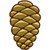 pine cone