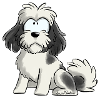 I'm Shih Tzu - White Gray