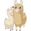 Sweet alpaca family