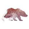 Bär und Wolf