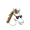 Pferdewirt - Cheval - travail - Equitation - Stable