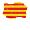 Roots pays drapeau Estelada katalani