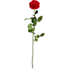 Rose with stem