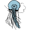 jellyfish