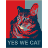Yes we Cat