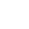Grizzly bear in Triangle design (white)