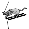 Skiing Ski Mouse Mouse