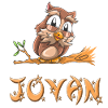 Hibou Jovan