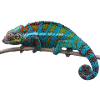 Chameleon - blue