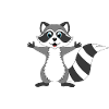 racoon