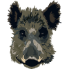 Wildschwein