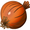 Zwiebel