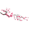 Branch with flowers gift idea