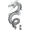 Limited Edition Dragon