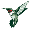 humming-bird