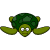 tortue