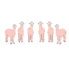 Alpaca Photoshooting