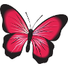 idée cadeau rouge papillon rose