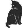 douce idée cadeau Chat Noir