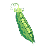 Pea peas pea pod vegetable gift