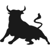 bulle,stier,kuh,