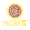 Pecan Pi Day Symbol Funny Science Geek