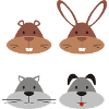 Pets