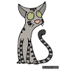Cat-oriental shorthair
